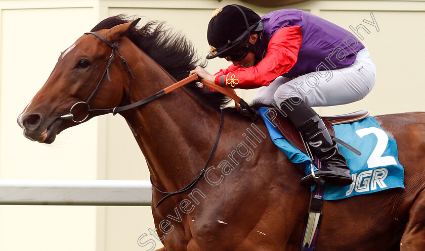 Sextant-0006 
 SEXTANT (Ryan Moore) wins The John Guest Racing Handicap
Ascot 26 Jul 2019 - Pic Steven Cargill / Racingfotos.com