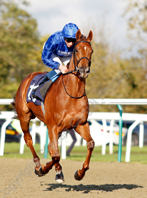 Sayyida-0001 
 SAYYIDA (William Buick)
Lingfield 28 Oct 2021 - Pic Steven Cargill / Raingfotos.com