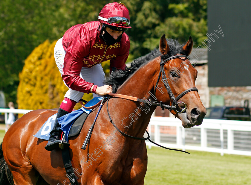 Battle-Of-The-Nile-0001 
 BATTLE OF THE NILE (Cieren Fallon)
Salisbury 8 Jun 2021 - Pic Steven Cargill / Racingfotos.com