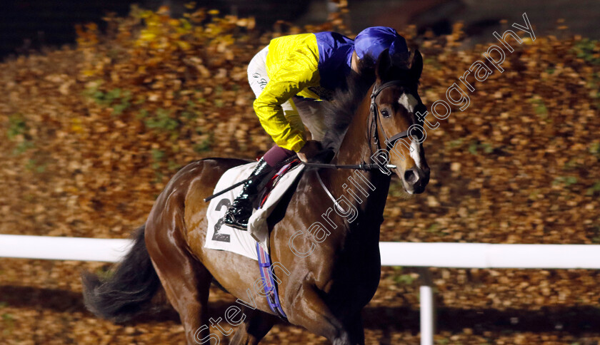 Crackergee-0001 
 CRACKERGEE (Rob Hornby)
Kempton 4 Dec 2024 - Pic Steven Cargill / Racingfotos.com