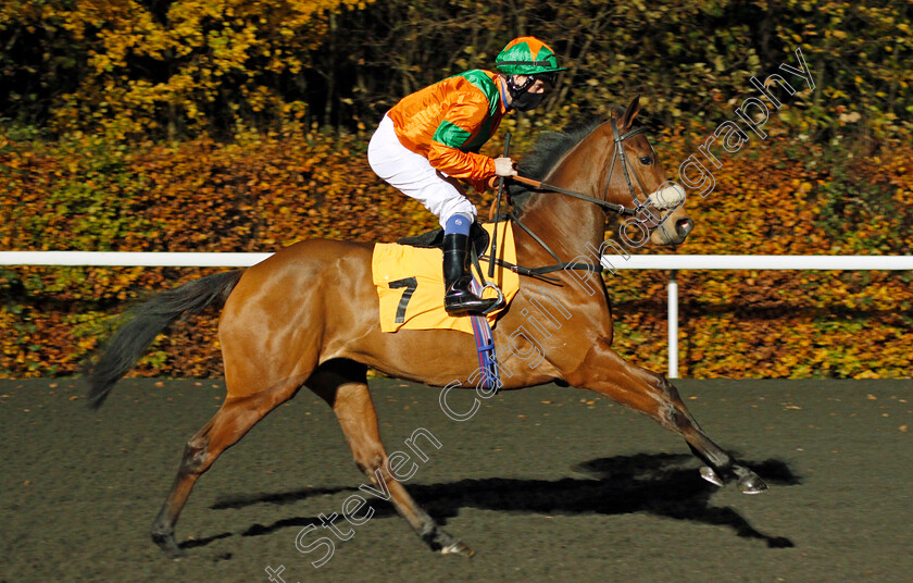 Bright-View-0001 
 BRIGHT VIEW (Martin Dwyer)
Kempton 11 Nov 2020 - Pic Steven Cargill / Racingfotos.com