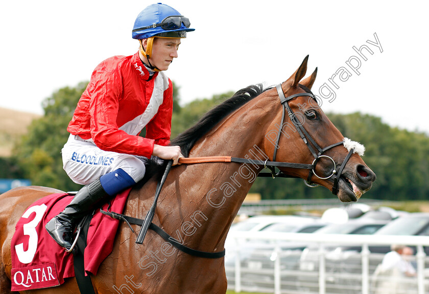 Pilaster-0001 
 PILASTER (David Egan)
Goodwood 3 Aug 2019 - Pic Steven Cargill / Racingfotos.com