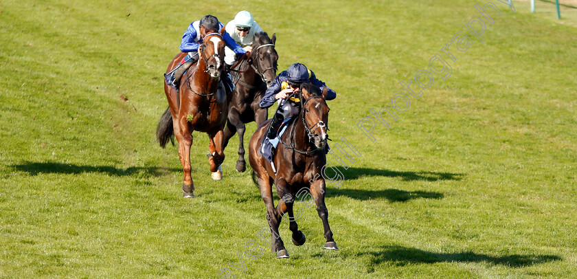 Scentasia-0003 
 SCENTASIA (Robert Havlin) wins The Parklands Leisure Holiday Distributors Handicap
Yarmouth 18 Sep 2019 - Pic Steven Cargill / Racingfotos.com