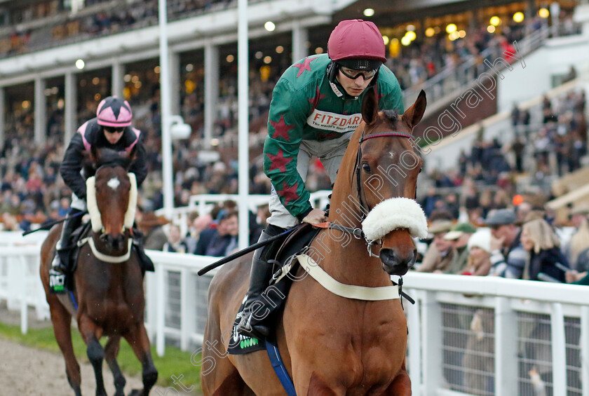 Fiercely-Proud-0002 
 FIERCELY PROUD (Ben Jones)
Cheltenham 17 Nov 2024 - Pic Steven Cargill / Racingfotos.com