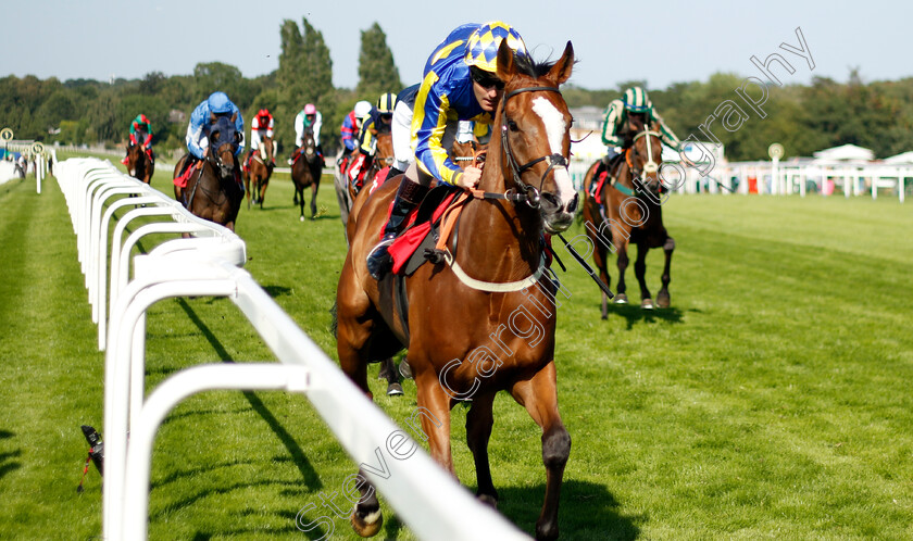 He s-A-Latchico-0002 
 HE'S A LATCHICO (Tom Queally) wins The Davies Group Handicap
Sandown 7 Jul 2023 - Pic Steven Cargill / Racingfotos.com