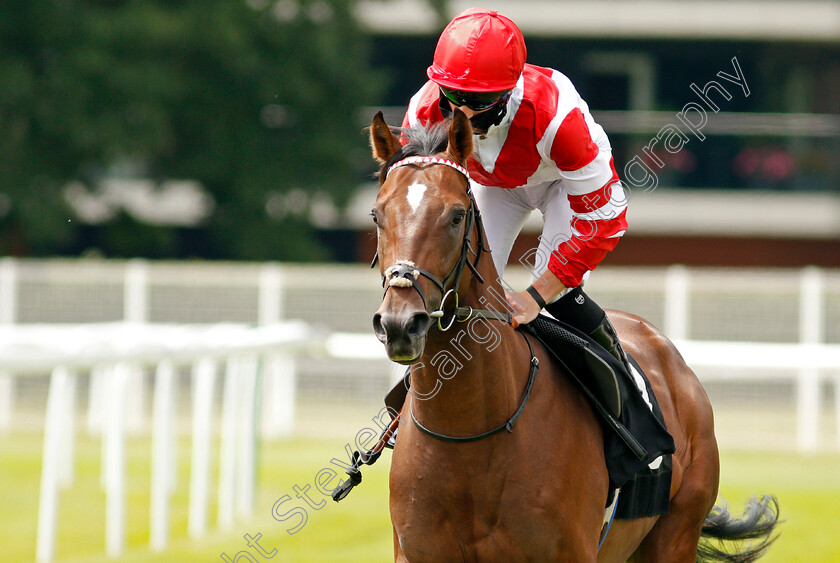 My-Next-Guest-0001 
 MY NEXT GUEST (Thomas Greatrex)
Newbury 19 Jul 2020 - Pic Steven Cargill / Racingfotos.com