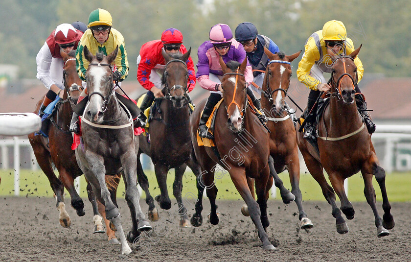 Baileys-Excelerate-0002 
 winner GRAFFITI MASTER (maroon and white, James Doyle) tracks BAILEYS EXCELERATE (grey) SPICE WAR (centre) and SEE THE TAR (right) at the first bend in The Matchbook British Stallion Studs EBF Novice Stakes Kempton 25 Sep 2017 - Pic Steven Cargill / Racingfotos.com