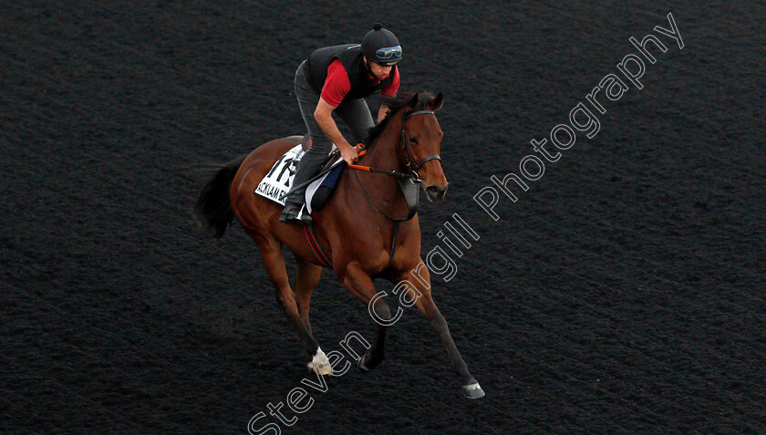 Acklam-Express-0001 
 ACKLAM EXPRESS 
Meydan, Dubai, 24 Mar 2022 - Pic Steven Cargill / Racingfotos.com