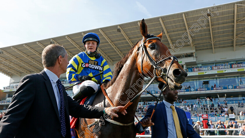 Trueshan-0012 
 TRUESHAN (Hollie Doyle) winner of The Betfred Doncaster Cup
Doncaster 15 Sep 2023 - Pic Steven Cargill / Racingfotos.com