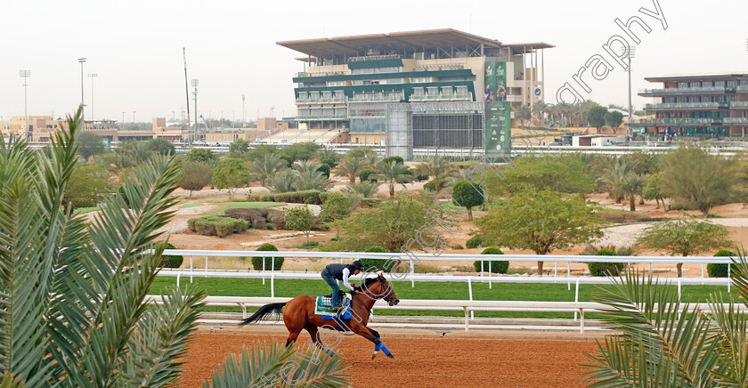 National-Treasure-0002 
 NATIONAL TREASURE training for The Saudi Cup
King Abdulaziz Racetrack, Saudi Arabia 22 Feb 2024 - Pic Steven Cargill / Racingfotos.com