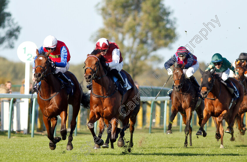 Mehdaayih-0004 
 MEHDAAYIH (left, Robert Havlin) beats FANNY LOGAN (right) in The British Stallion Studs EBF Fillies Novice Stakes Div2
Yarmouth 23 Oct 2018 - pic Steven Cargill / Racingfotos.com