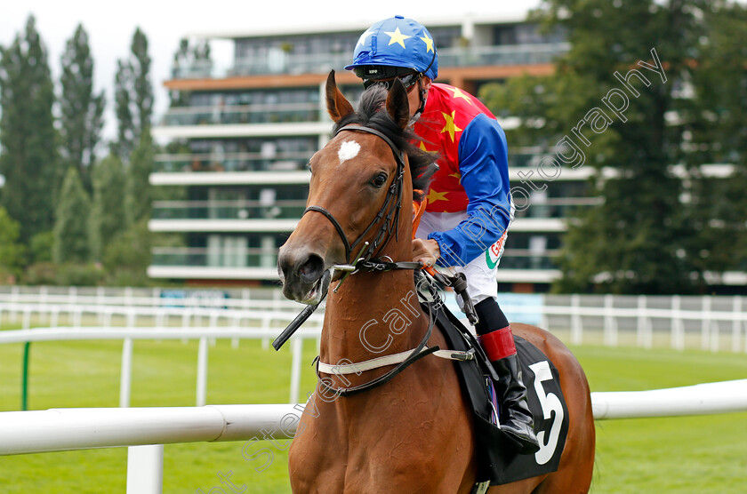 Coulapina-0001 
 COULAPINA (Shane Kelly)
Newbury 13 Aug 2021 - Pic Steven Cargill / Racingfotos.com