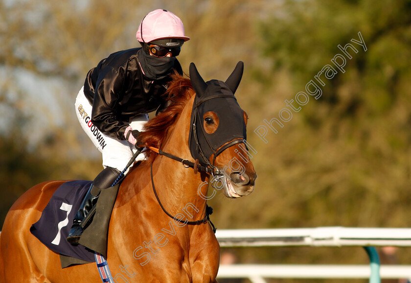 Aiming-High-0001 
 AIMING HIGH (Hayley Turner)
Lingfield 21 Jan 2023 - Pic Steven Cargill / Racingfotos.com