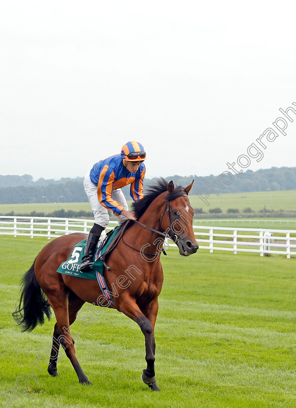 Henry-Longfellow-0009 
 HENRY LONGFELLOW (Ryan Moore) winner of The Goffs Vincent O'Brien National Stakes
The Curragh 10 Sep 2023 - Pic Steven Cargill / Racingfotos.com