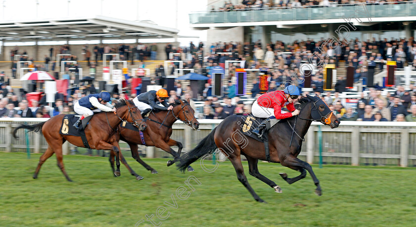 Bermuda-0001 
 BERMUDA (Hector Crouch) wins The Prestige Vehicles British EBF Fillies Novice Stakes Div1
Newmarket 30 Oct 2021 - Pic Steven Cargill / Racingfotos.com