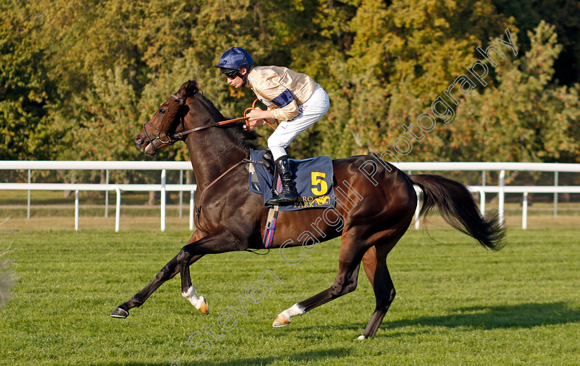 Praetorian-0001 
 PRAETORIAN (Luke Morris)
Bro Park, Sweden 15 Sep 2024 - Pic Steven Cargill / Racingfotos.com