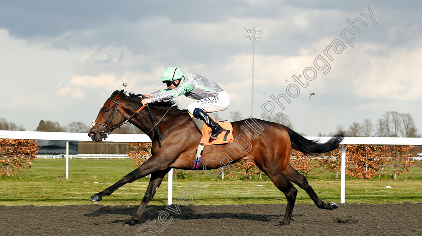 Pentland-Lad-0005 
 PENTLAND LAD (Oisin Murphy) wins The racingtv.com Handicap
Kempton 3 Apr 2019 - Pic Steven Cargill / Racingfotos.com