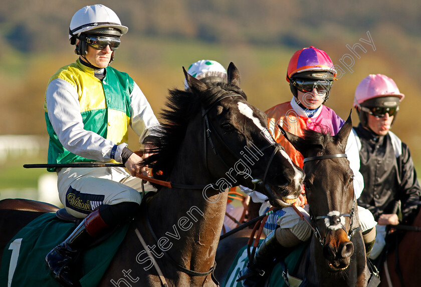 Hillcrest-0002 
 HILLCREST (Sam Twiston-Davies)
Cheltenham 14 Dec 2024 - Pic Steven Cargill / Racingfotos.com