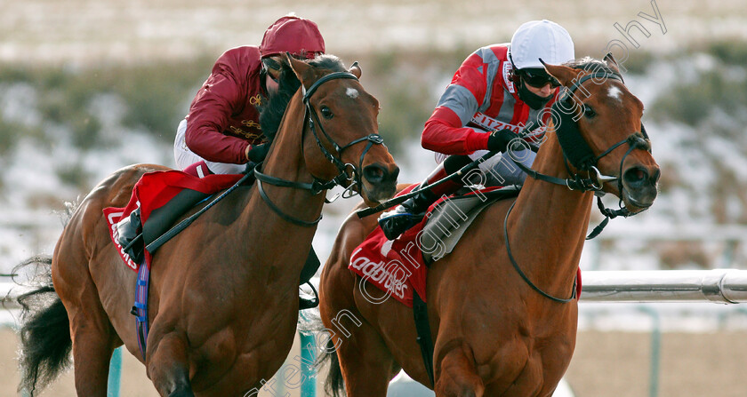 Twilight-Heir-0005 
 TWILIGHT HEIR (left, Cieren Fallon) beats CHARLIE FELLOWES (right) in The Get Your Ladbrokes Daily Odds Boost Handicap
Lingfield 13 Feb 2021 - Pic Steven Cargill / Racingfotos.com