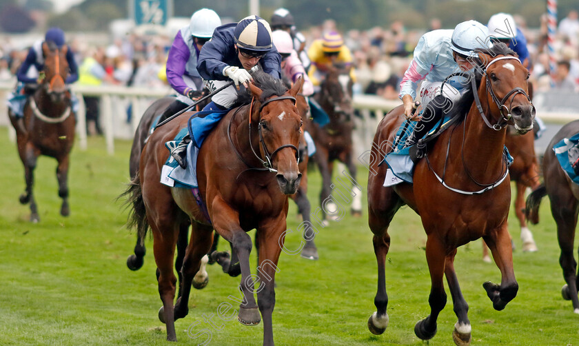 Kyeema-0003 
 KYEEMA (right, Tom Marquand) beats INDIAN DREAM (left) in The OR8Wellness EBF Stallions Nursery
York 18 Aug 2022 - Pic Steven Cargill / Racingfotos.com