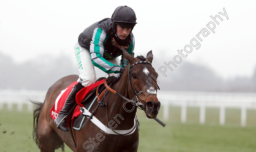 Altior-0007 
 ALTIOR (Nico De Boinville) wins The Matchbook Clarence House Chase
Ascot 19 Jan 2019 - Pic Steven Cargill / Racingfotos.com