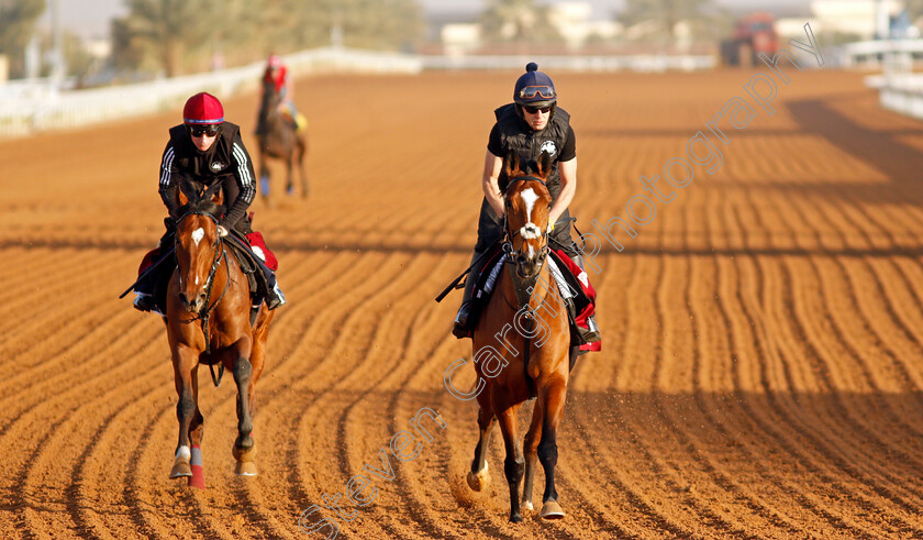 Baron-Samedi-and-Thunder-Moon-0001 
 THUNDER MOON (left) and BARON SAMEDI (right) training at the Saudi Cup
King Abdulaziz Racetrack, Riyadh, Saudi Arabia 23 Feb 2022 - Pic Steven Cargill / Racingfotos.com