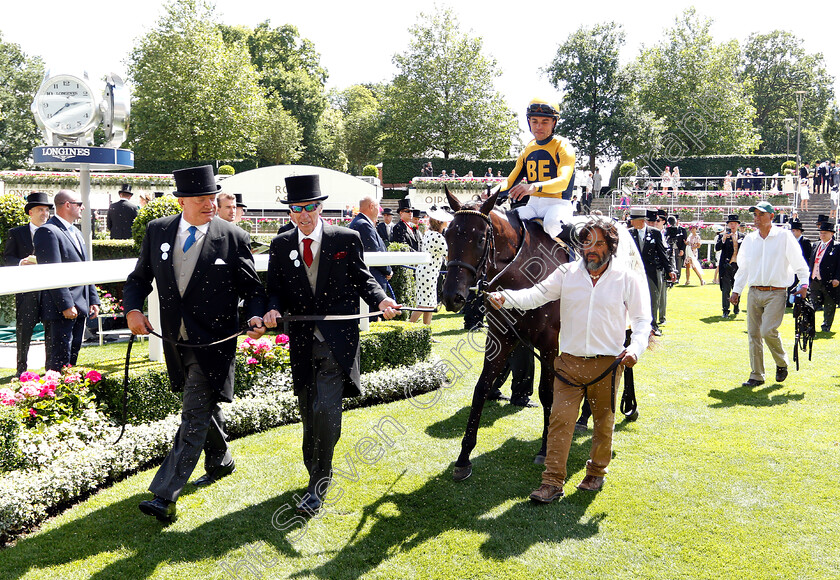 Shang-Shang-Shang-0007 
 SHANG SHANG SHANG (Joel Rosario) after The Norfolk Stakes
Royal Ascot 21 Jun 2018 - Pic Steven Cargill / Racingfotos.com