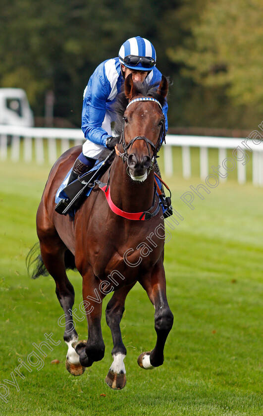 Ensyaaby-0001 
 ENSYAABY (Jim Crowley)
Salisbury 1 Oct 2020 - Pic Steven Cargill / Racingfotos.com