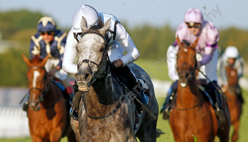 Misty-Dancer-0009 
 MISTY DANCER (Harry Burns) wins The William Hill Pick Your Places Maiden Fillies Stakes
Goodwood 26 Aug 2022 - Pic Steven Cargill / Racingfotos.com