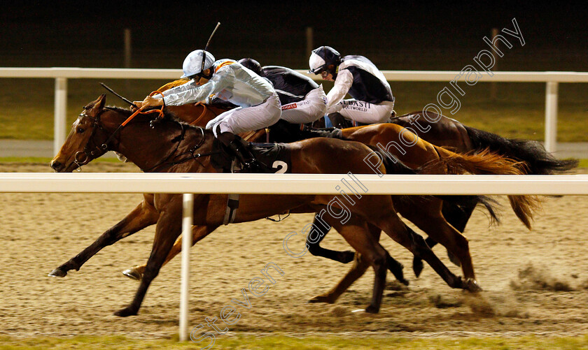 Red-Bond-0005 
 RED BOND (Sean Levey) wins The Bet totetrifecta At totesport.com Handicap
Chelmsford 21 Feb 2019 - Pic Steven Cargill / Racingfotos.com