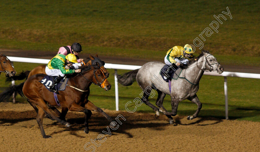 Lord-Riddiford-0003 
 LORD RIDDIFORD (right, Jason Hart) beats POP DANCER (left) in The Betway Handicap
Wolverhampton 24 Nov 2020 - Pic Steven Cargill / Racingfotos.com