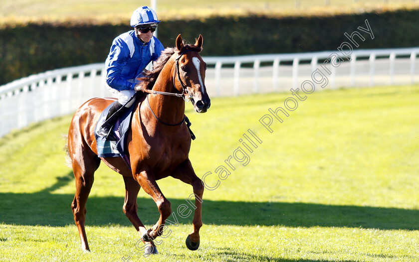 Gabr-0002 
 GABR (Jim Crowley) before winning The British Stallion Studs EBF Foundation Stakes
Goodwood 26 Sep 2018 - Pic Steven Cargill / Racingfotos.com