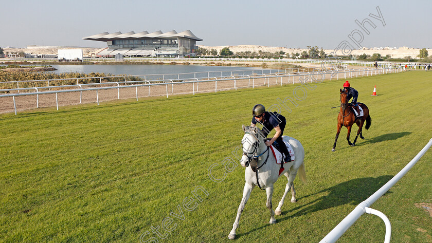 Lord-Glitters-0001 
 LORD GLITTERS (Jason Watson) leads FEV ROVER (Paddy Mathers) exercising in preparation for Friday's Bahrain International Trophy
Sakhir Racecourse, Bahrain 18 Nov 2021 - Pic Steven Cargill / Racingfotos.com