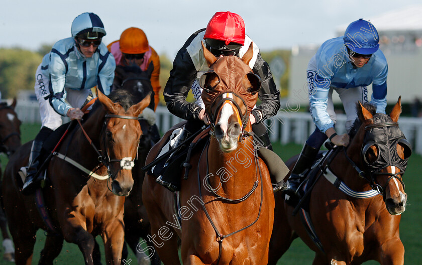 Caribeno 
 CARIBENO (Luke Morris)
Ascot 1 Oct 2021 - Pic Steven Cargill / Racingfotos.com