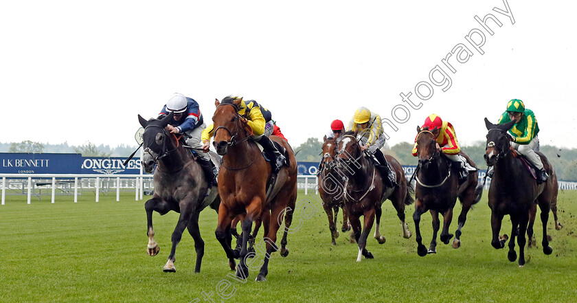 Isle-Of-Lismore-0003 
 ISLE OF LISMORE (Kieran Shoemark) beats FAIR WIND (left) in The Naas Racecourse Handicap Div2
Ascot 1 May 2024 - Pic Steven Cargill / Racingfotos.com