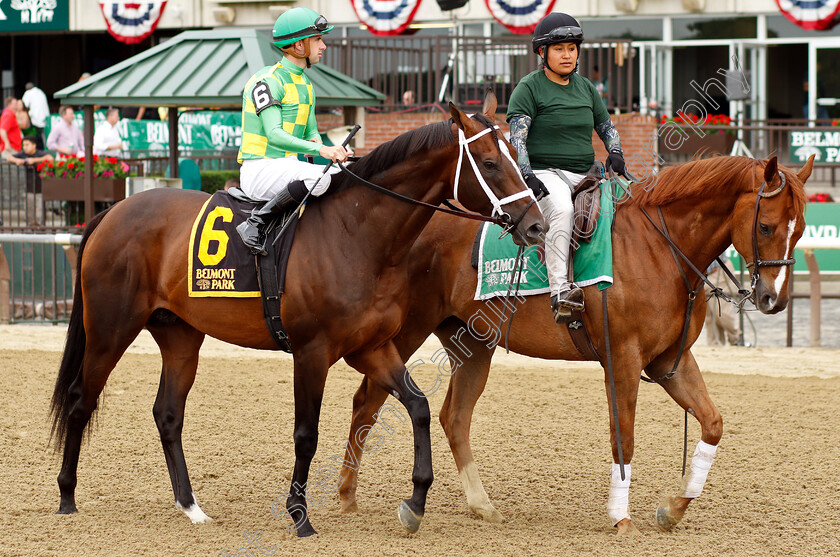 Arklow-0001 
 ARKLOW (Florent Geroux)
Belmont Park 7 Jun 2019 - Pic Steven Cargill / Racingfotos.com