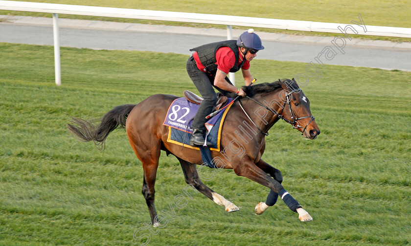 Thunderbolt-Rocks-0001 
 THUNDERBOLT ROCKS, trained by Hugo Palmer, exercising in preparation for The Dubai World Cup Carnival, Meydan 18 Jan 2018 - Pic Steven Cargill / Racingfotos.com