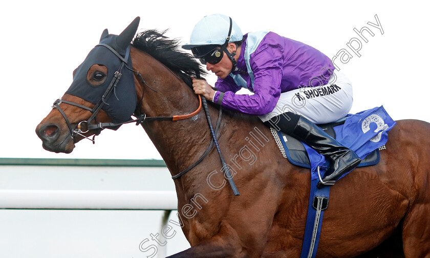 Prop-Forward-0003 
 PROP FORWARD (Kieran Shoemark) wins The Wise Betting At Racingtv Handicap
Kempton 10 Apr 2023 - Pic Steven Cargill / Racingfotos.com