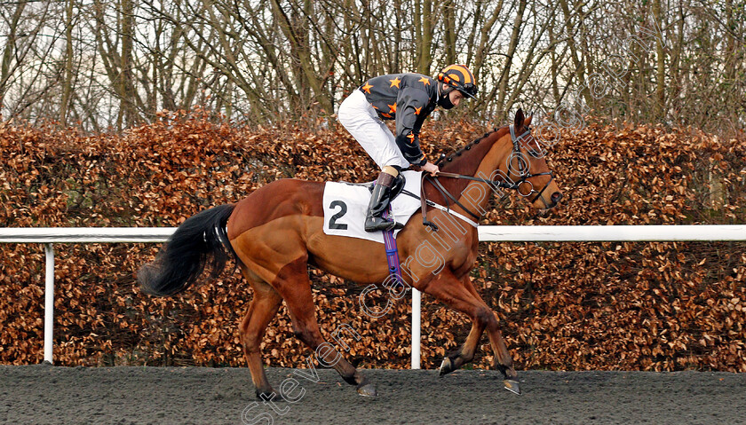 Elusive-Treat-0001 
 ELUSIVE TREAT (Oisin McSweeney) winmer of The Unibet 3 Uniboosts A Day Apprentice Handicap
Kempton 24 Feb 2021 - Pic Steven Cargill / Racingfotos.com