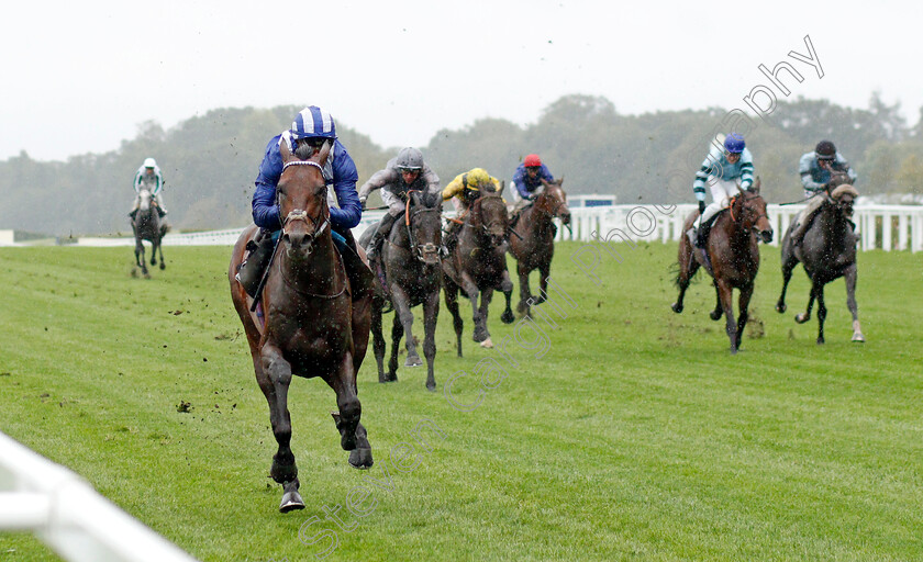 Hukum-0003 
 HUKUM (Jim Crowley) wins The ABF/BGC Cumberland Lodge Stakes
Ascot 2 Oct 2021 - Pic Steven Cargill / Racingfotos.com