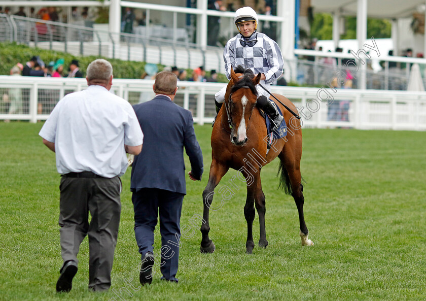 Broome-0006 
 BROOME (Ryan Moore) after The Hardwicke Stakes
Royal Ascot 18 Jun 2022 - Pic Steven Cargill / Racingfotos.com