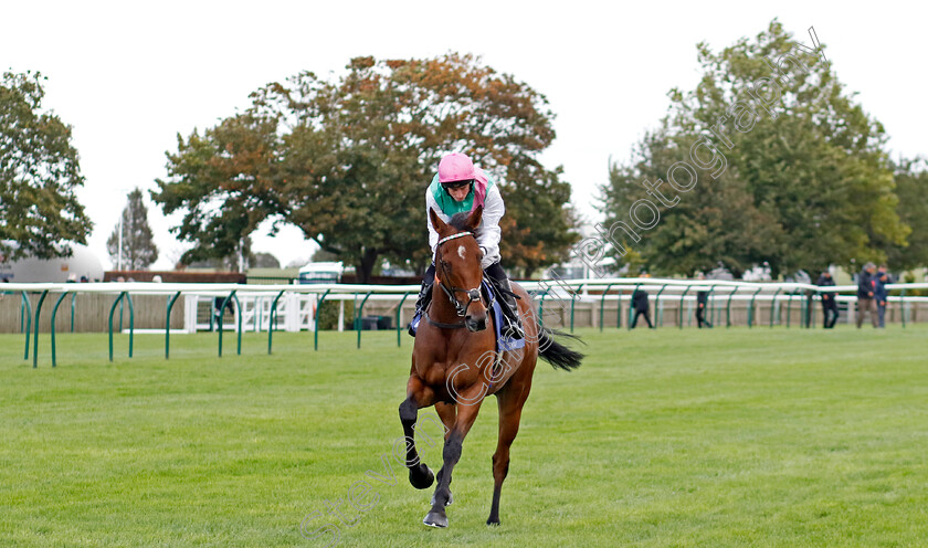 Time-Lock-0005 
 TIME LOCK (Ryan Moore) wins The Princess Royal Al Basti Equiworld Dubai Stakes
Newmarket 27 Sep 2024 - Pic Steven Cargill / Racingfotos.com