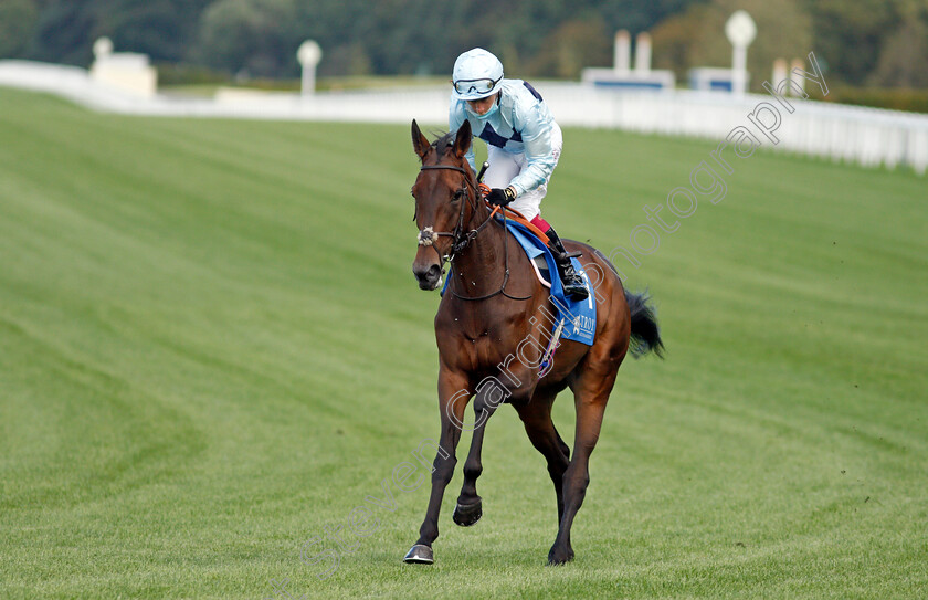 Nell-The-Thief 
 NELL THE THIEF (Oisin Murphy)
Ascot 1 Oct 2021 - Pic Steven Cargill / Racingfotos.com