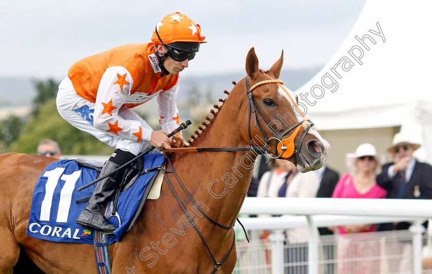 Eagle s-Way-0002 
 EAGLE'S WAY (Luke Morris)
Goodwood 1 Aug 2023 - Pic Steven Cargill / Racingfotos.com