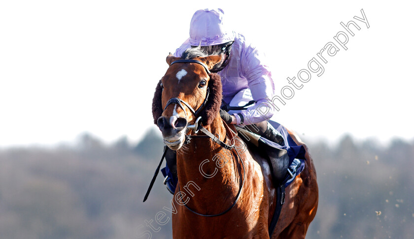 Abe-Lincoln-0004 
 ABE LINCOLN (Ryan Moore) wins The Betway Handicap Lingfield 27 Feb 2018 - Pic Steven Cargill / Racingfotos.com