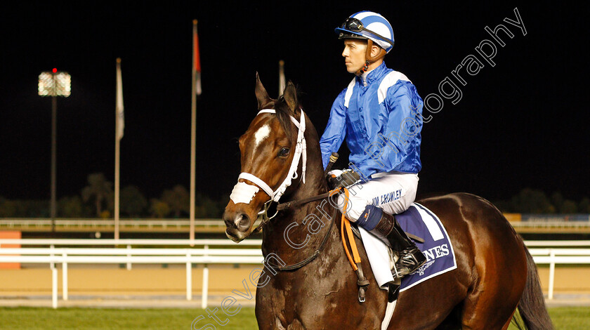 Ekhtiyaar-0001 
 EKHTIYAAR (Jim Crowley) before The Longines Hydroconquest Handicap
Meydan 9 Jan 2020 - Pic Steven Cargill / Racingfotos.com