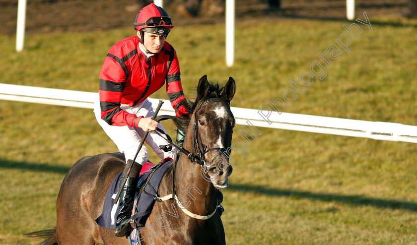 Greybychoice-0003 
 GREYBYCHOICE (Eoin Walsh) before winning a walk-over for The Ladbrokes Home Of The Odds Boost Novice Stakes
Lingfield 23 Feb 2019 - Pic Steven Cargill / Racingfotos.com