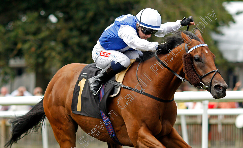 Anythingtoday-0004 
 ANYTHINGTODAY (Hollie Doyle) wins The Bob And Liz 40th Wedding Anniversary Handicap
Newmarket 31 Jul 2021 - Pic Steven Cargill / Racingfotos.com