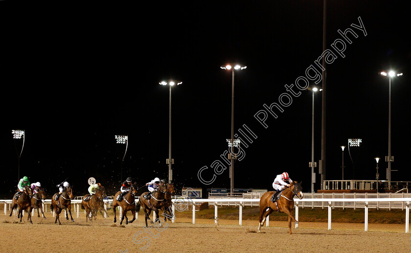 Zmhar-0001 
 ZMHAR (Oisin Murphy) wins The Extra Places At totesport.com Handicap
Chelmsford 20 Feb 2019 - Pic Steven Cargill / Racingfotos.com