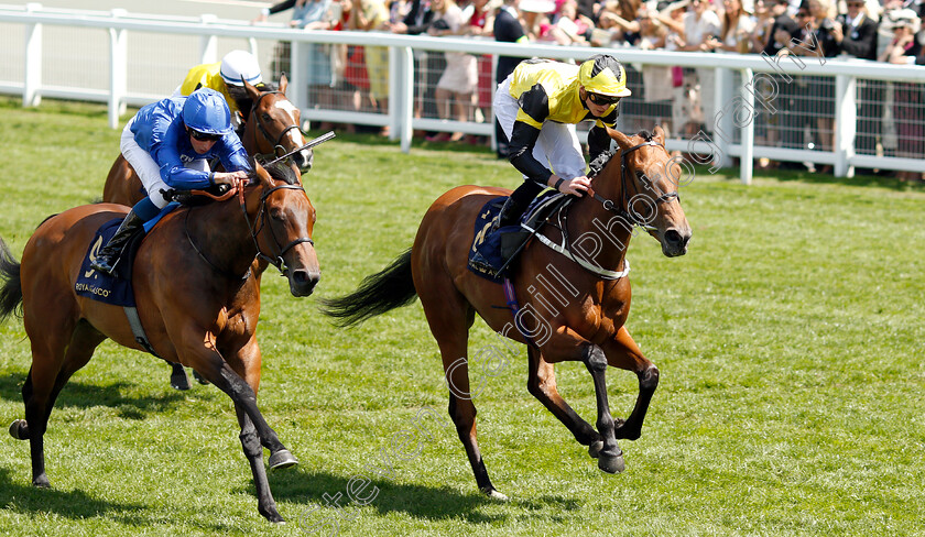 Main-Edition-0006 
 MAIN EDITION (right, James Doyle) beats LA PELOSA (left) in The Albany Stakes
Royal Ascot 22 Jun 2018 - Pic Steven Cargill / Racingfotos.com